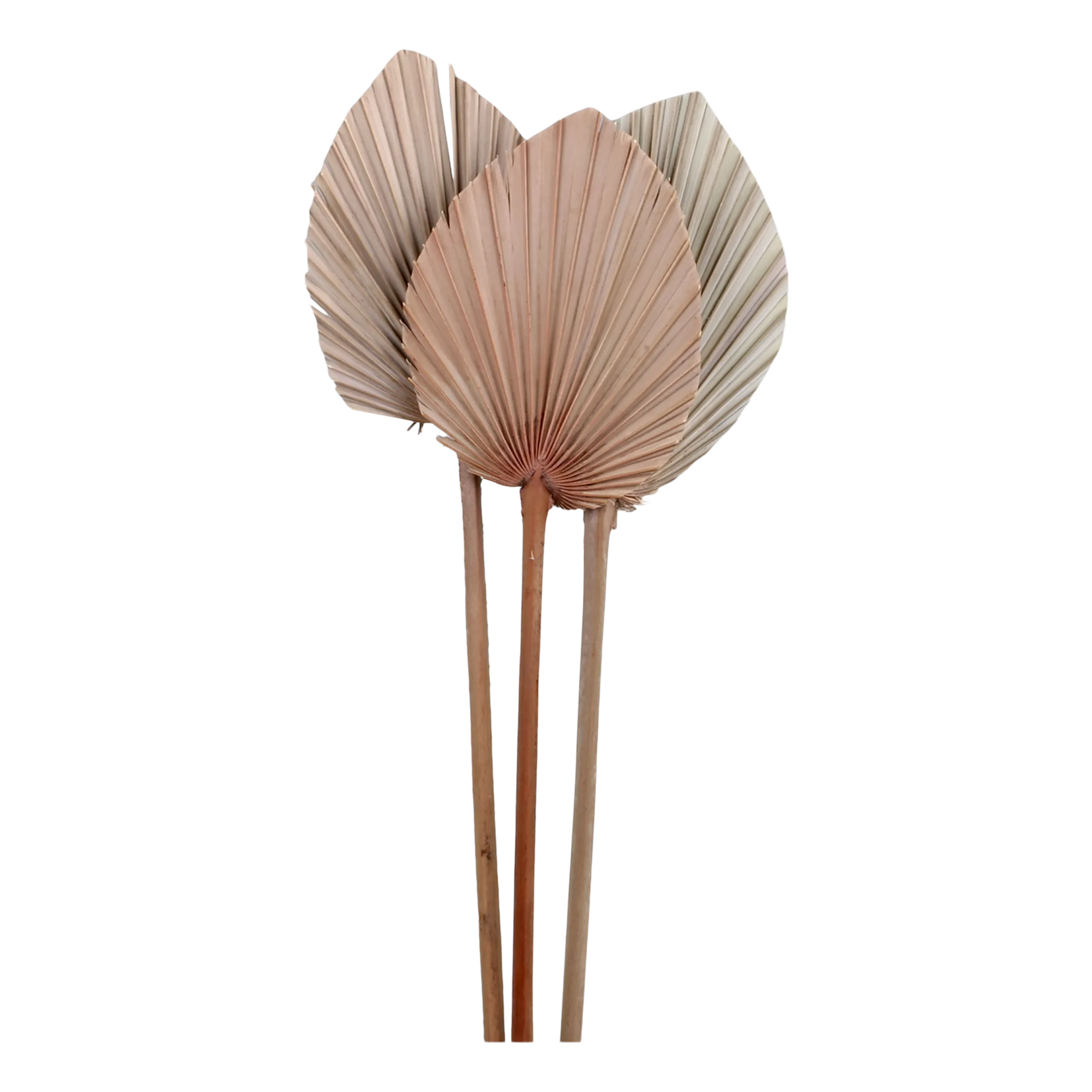 Pikkukuva 1